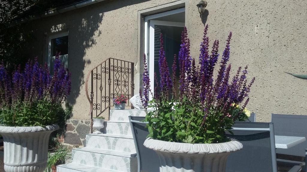 Снимка в галерията на Strandhaus Mariflor в Brook