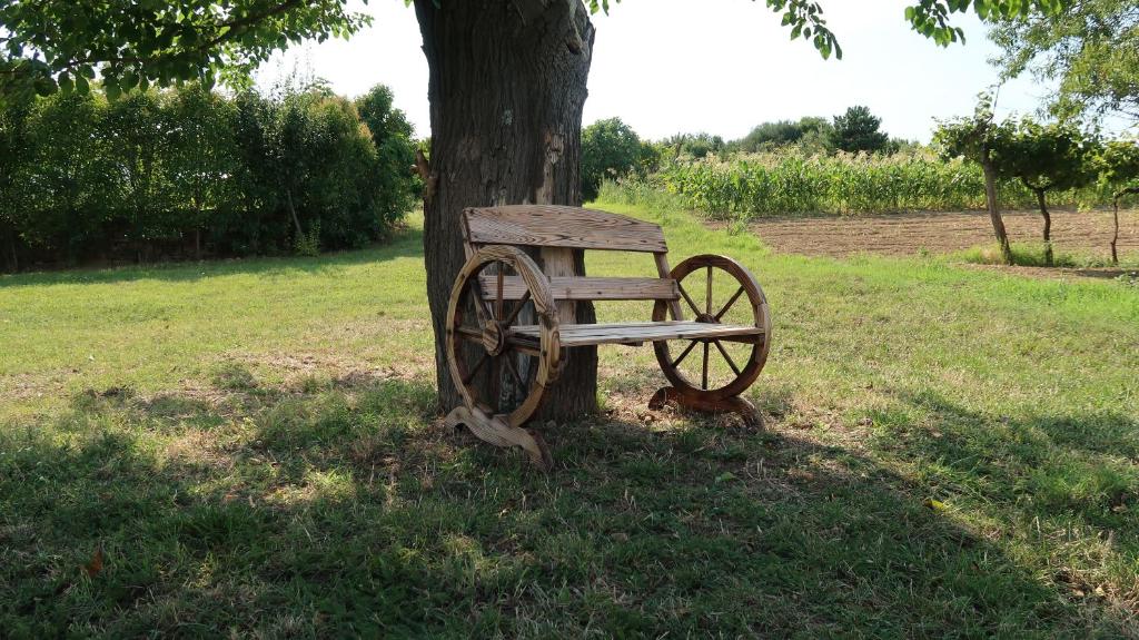 a wooden bench sitting next to a tree at Sončne Terase in Piran