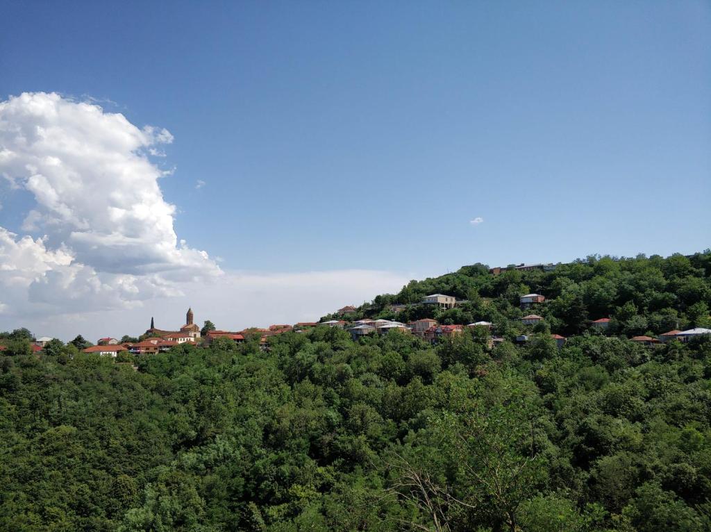 Příroda nedaleko ubytování v soukromí