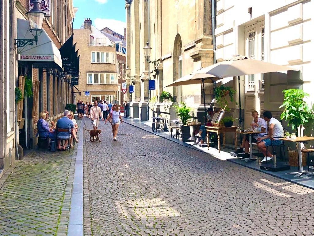 um grupo de pessoas passeando com um cão por uma rua em accademia00 em Maastricht