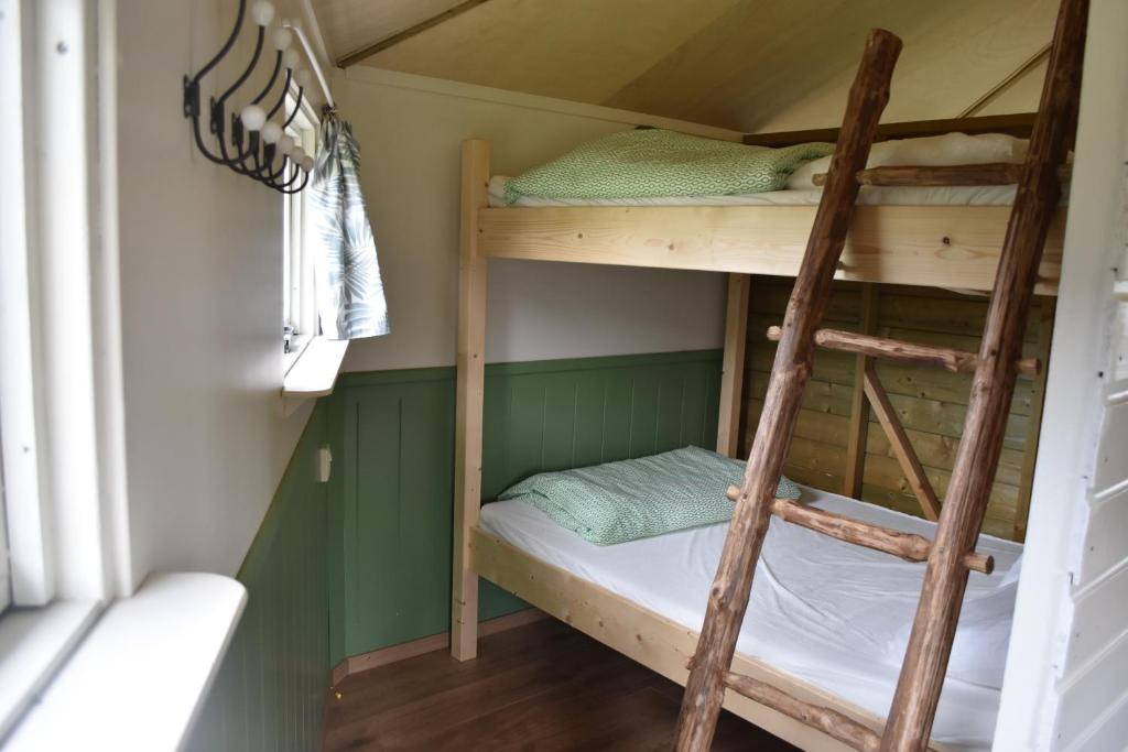 een stapelbed in een kleine kamer met een ladder bij 't Peelhuisje in Kronenberg