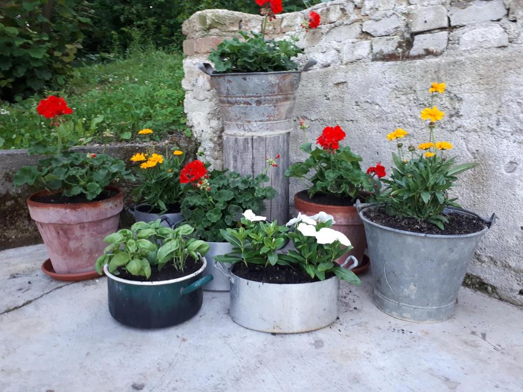 Zahrada ubytování Il Noccioletto