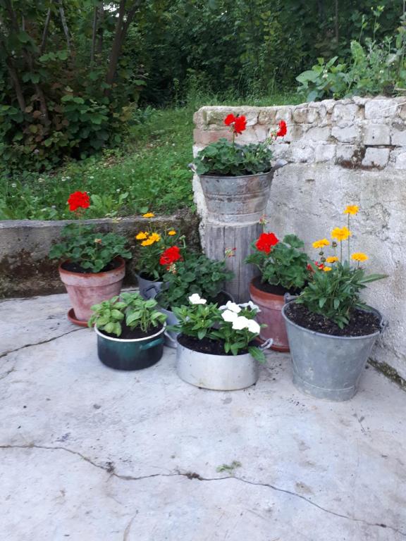 Zahrada ubytování Il Noccioletto