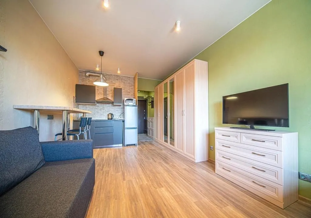 Apartment in Palazio 5, Kudrovo, Russia