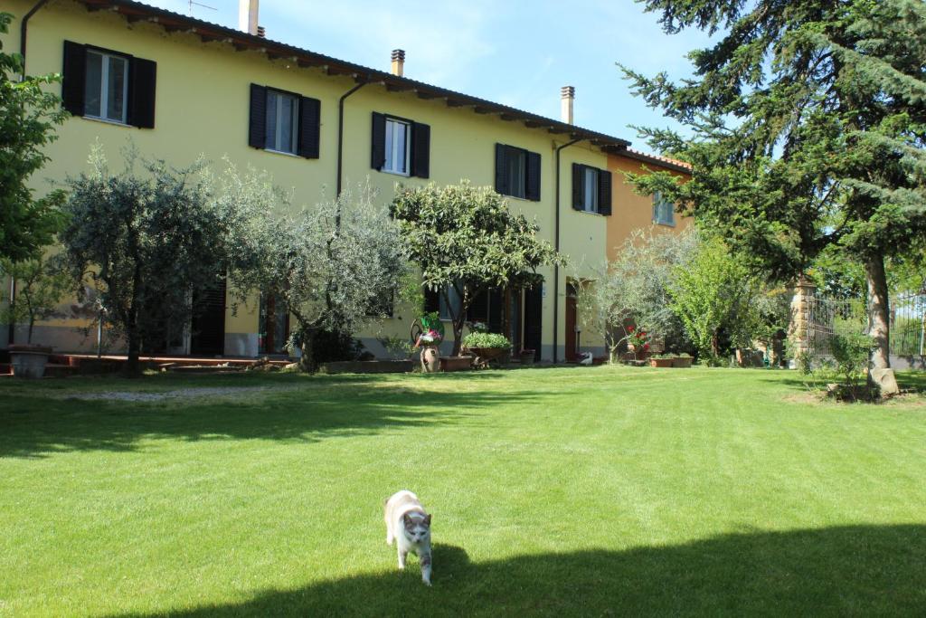 a dog standing in the grass in front of a building at Veramaro,accogliente appartamento in campagna in Arezzo