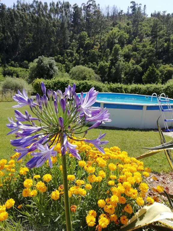 Zahrada ubytování Nova Alofa caravan