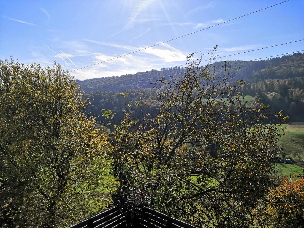 Táj az apartman közelében