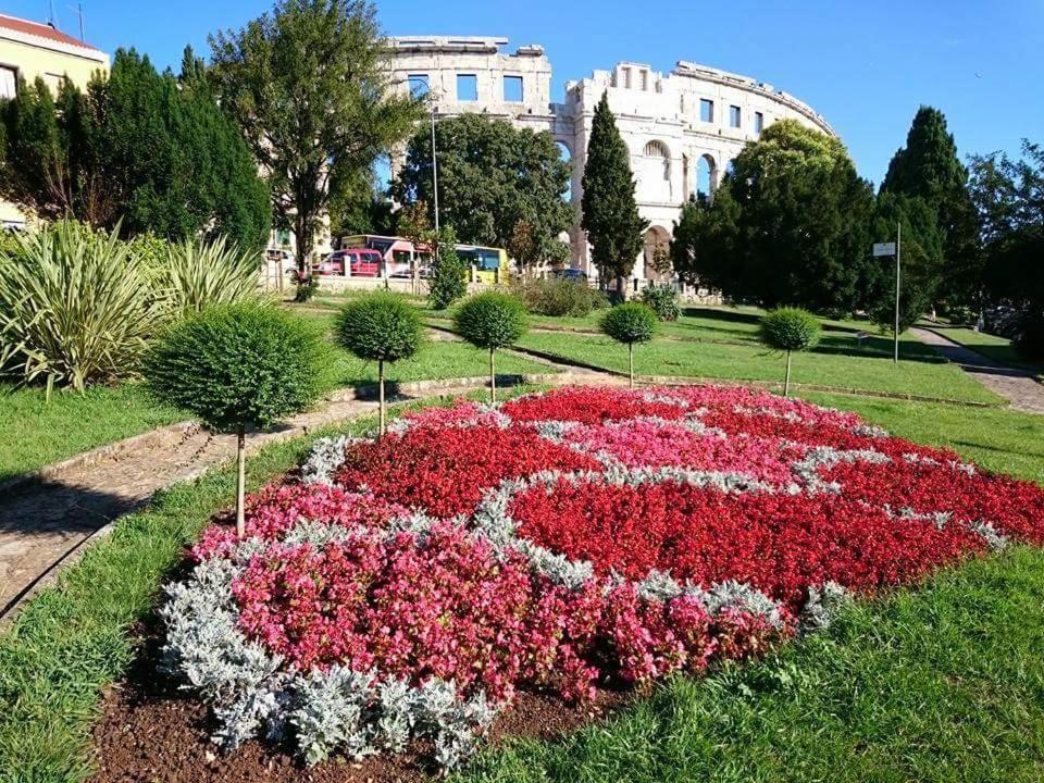 Ogród w obiekcie APARTMANI KAROCA 3