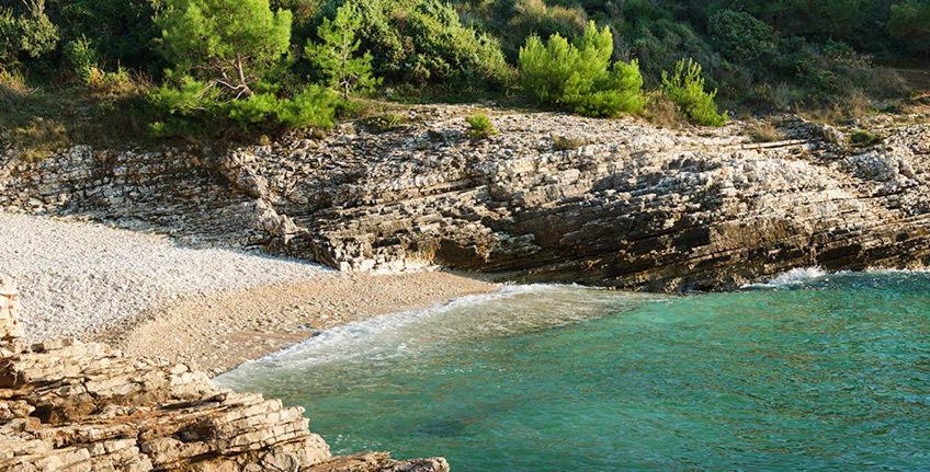 Photo de la galerie de l'établissement Eleonora, à Banjole