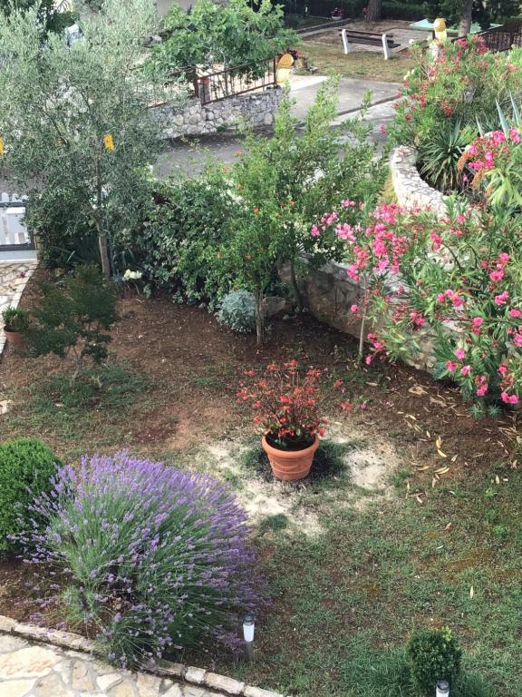 Vonkajšia záhrada v ubytovaní Apartmani Misic