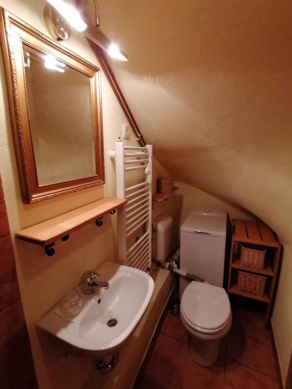 Koupelna v ubytování Holiday house apartment Voukov mlin