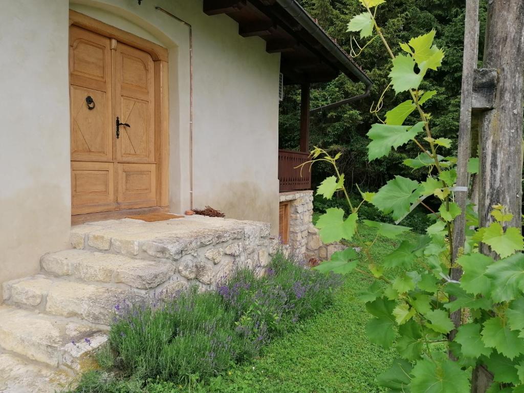 Zahrada ubytování Holiday house apartment Voukov mlin