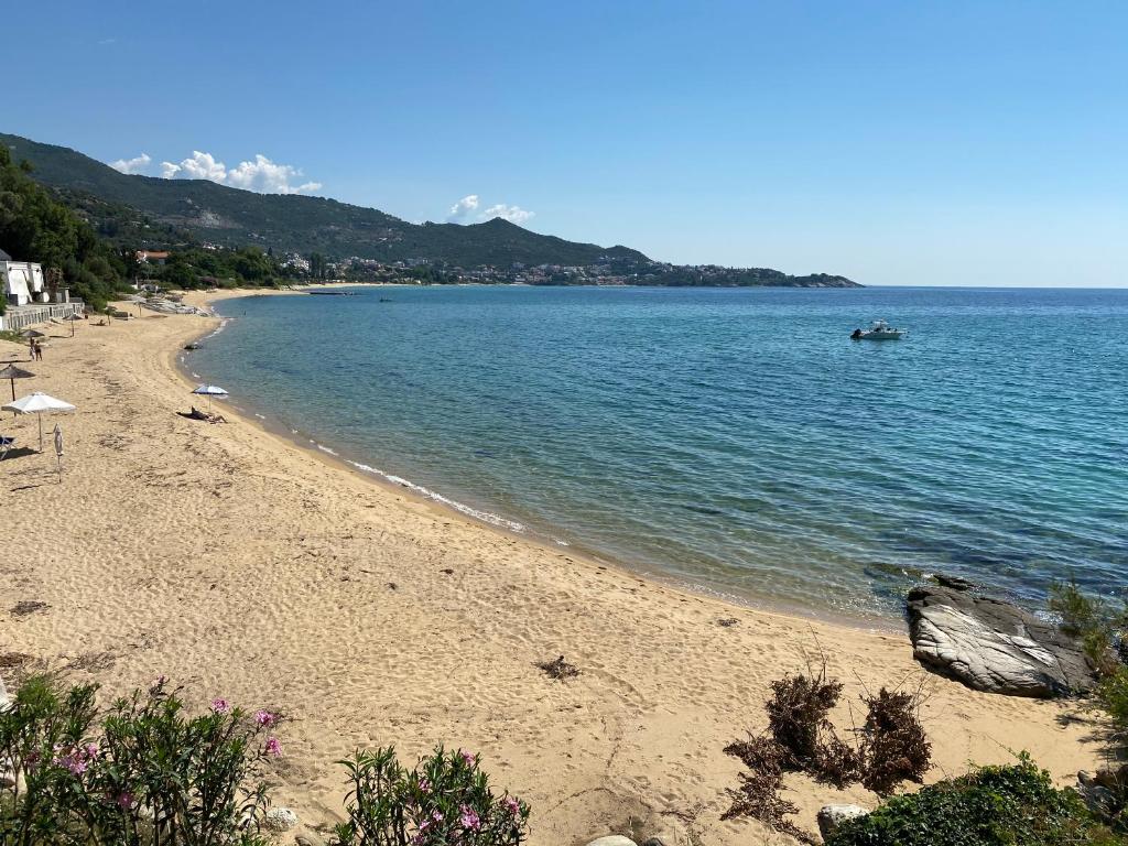 a beach with a boat in the water at Irini Seaside Apartment in Paleo Tsifliki