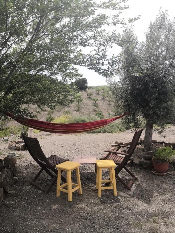 Zahrada ubytování Casa Joya