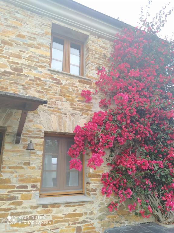 Fotografie z fotogalerie ubytování Casa Crisanta v destinaci Lomba