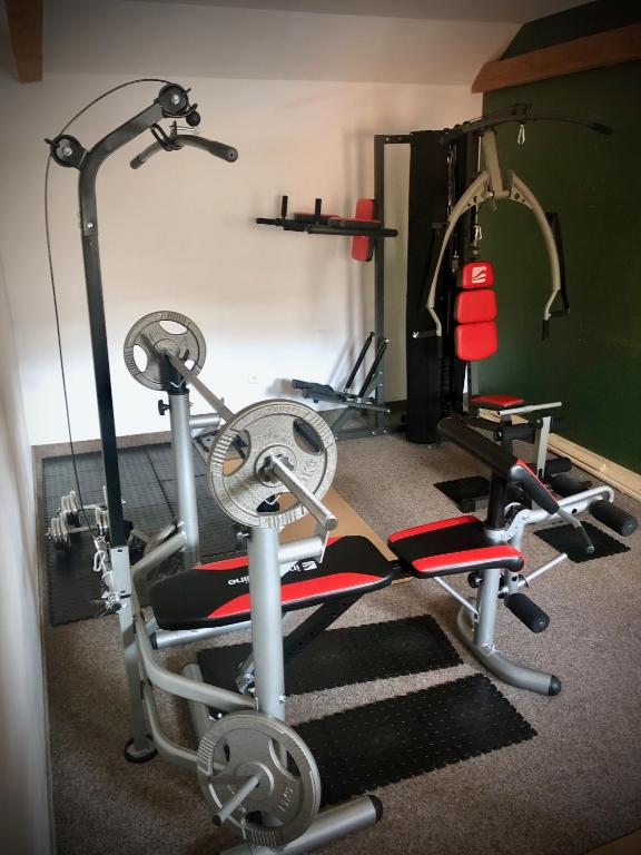 Fitness centrum a/nebo fitness zařízení v ubytování Penzion Dolní Morava