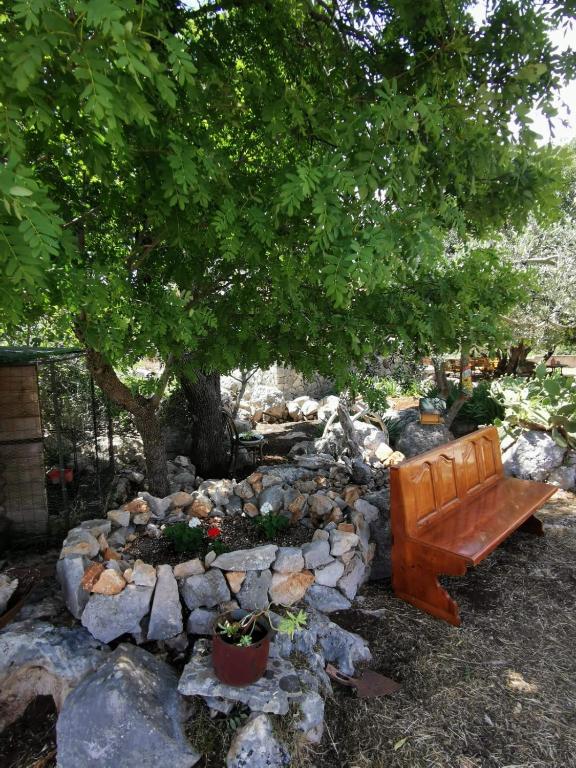Hvar Mediterranean Ranch House外面的花园