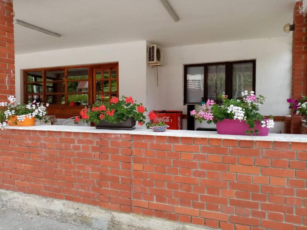 Fotografie z fotogalerie ubytování Apartman Dunja i Miloš v destinaci Mokra Gora