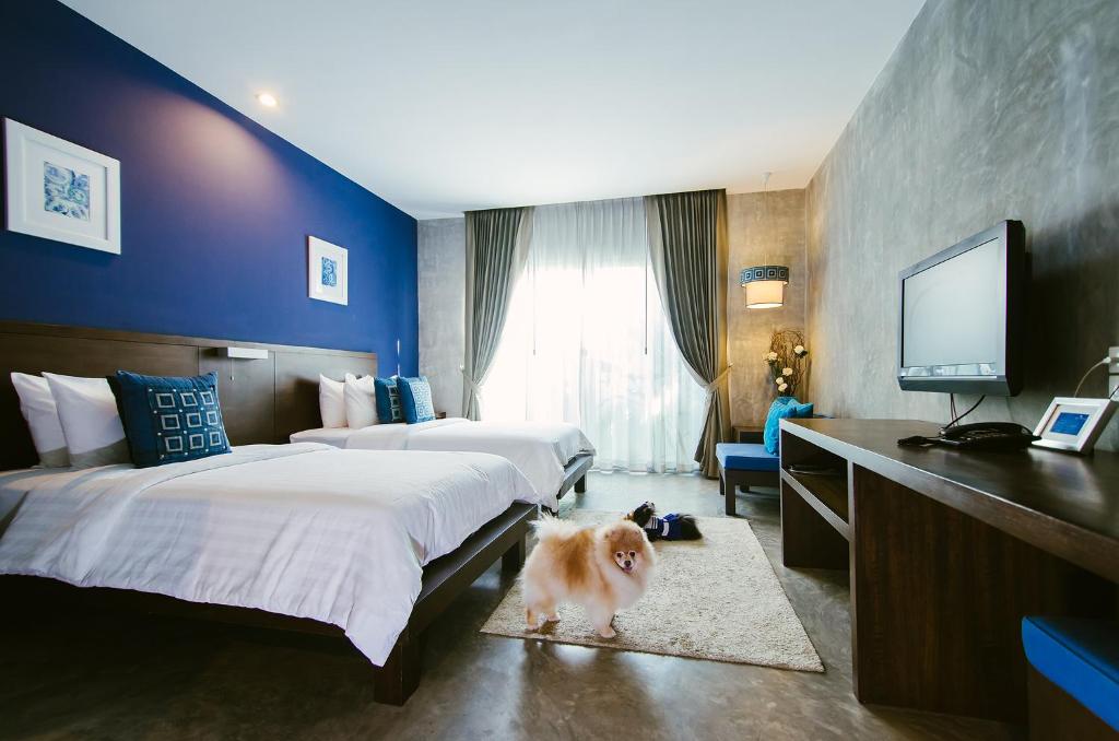 Ketawa Pet Friendly Hotel - Resim 23