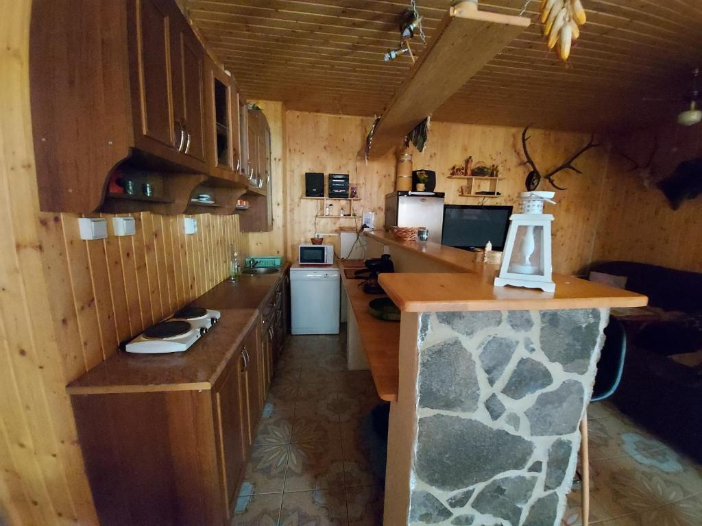 Kuchyňa alebo kuchynka v ubytovaní Chalupa Tália