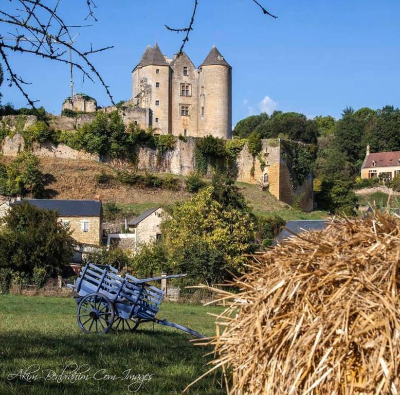 un carro azul estacionado frente a un castillo en petite maison en pierre au coeur du Périgord noir, en Salignac Eyvigues