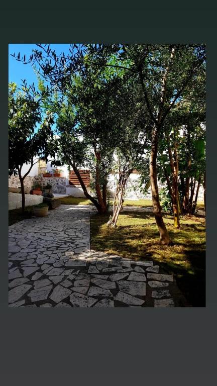 Zahrada ubytování B&B Sa domo de sos Massaios