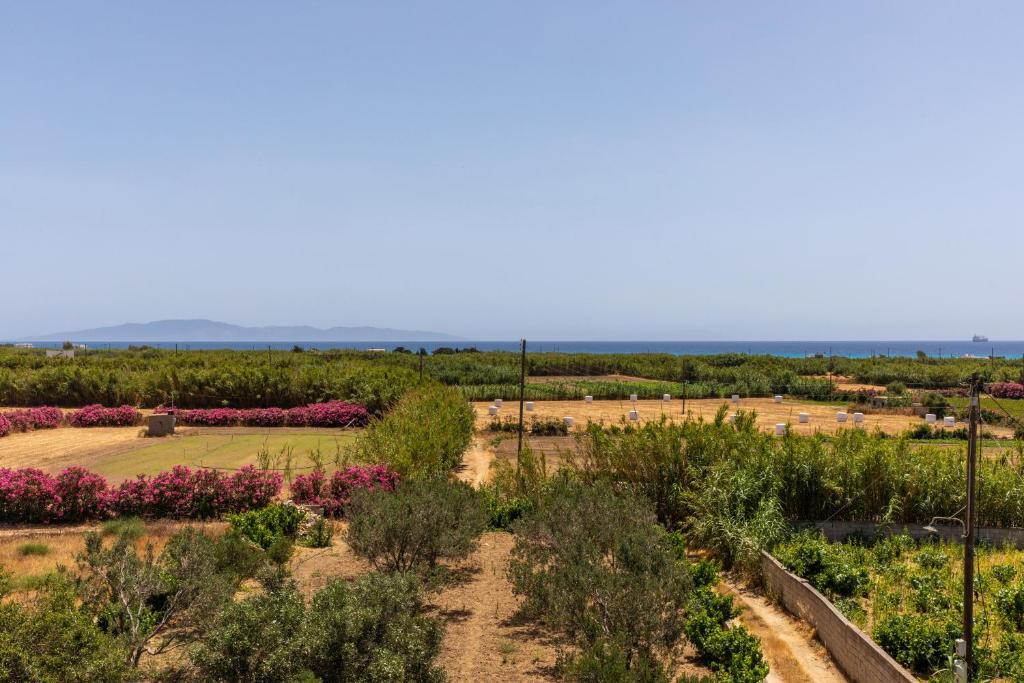 a view of the garden from the top at Oneiric Harmony in Mikri Vigla