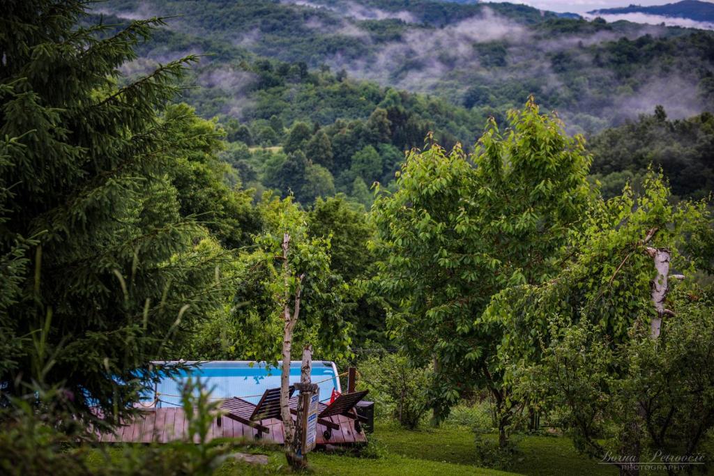uma piscina no meio de uma floresta de árvores em Guest House Lagotto's Peak em Radatovići