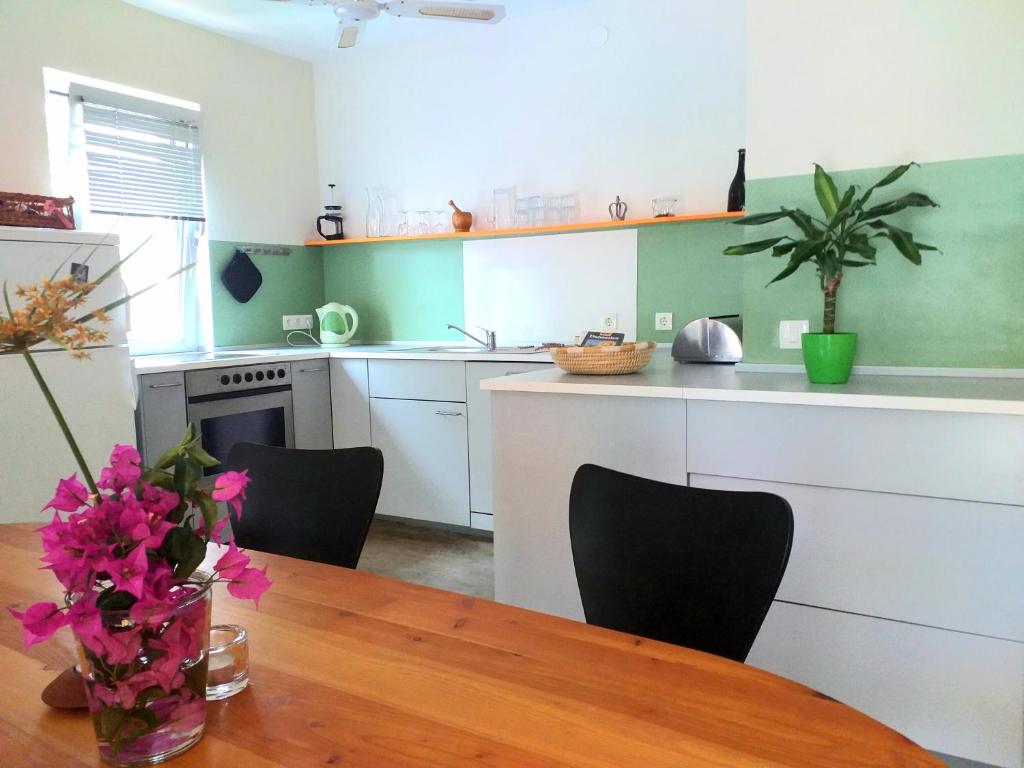 Kuchyňa alebo kuchynka v ubytovaní Apartment Kuca Merdzo