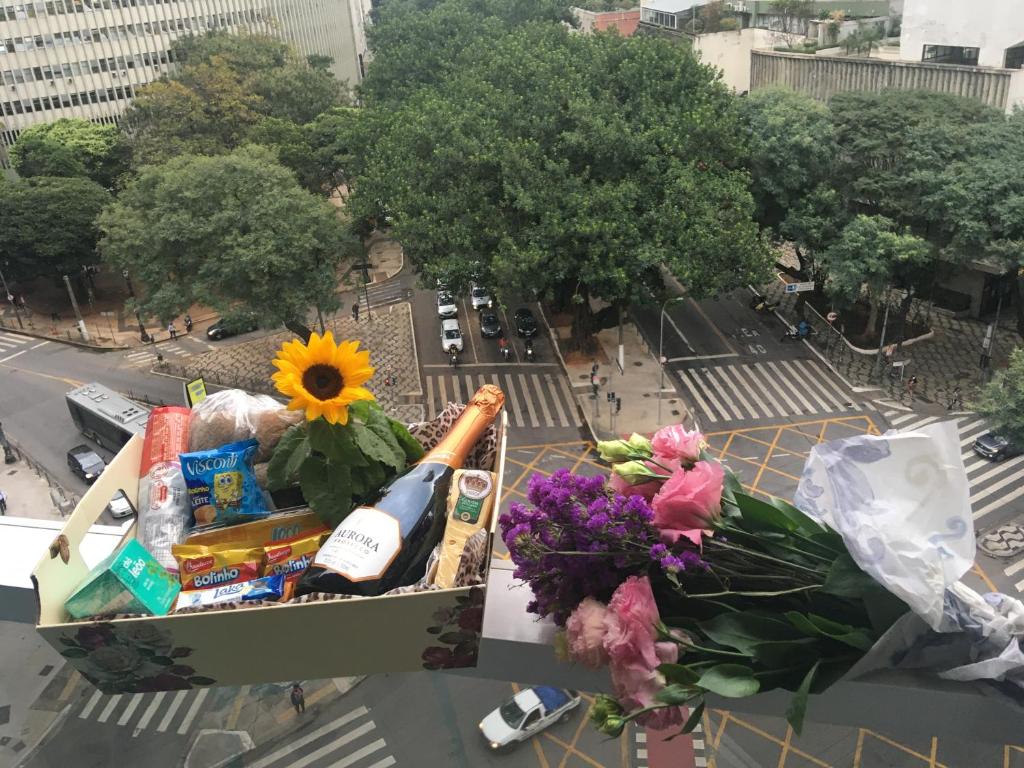  Coração de São Paulo