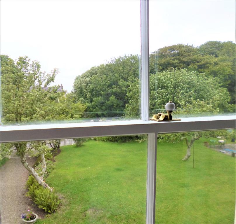 a dog sitting on a window sill looking out at a yard at The Burrows Bed and Breakfast in Pembroke