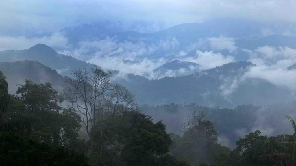 a view of a mountain range with clouds and trees at FH Comfy Home in Bukit Fraser