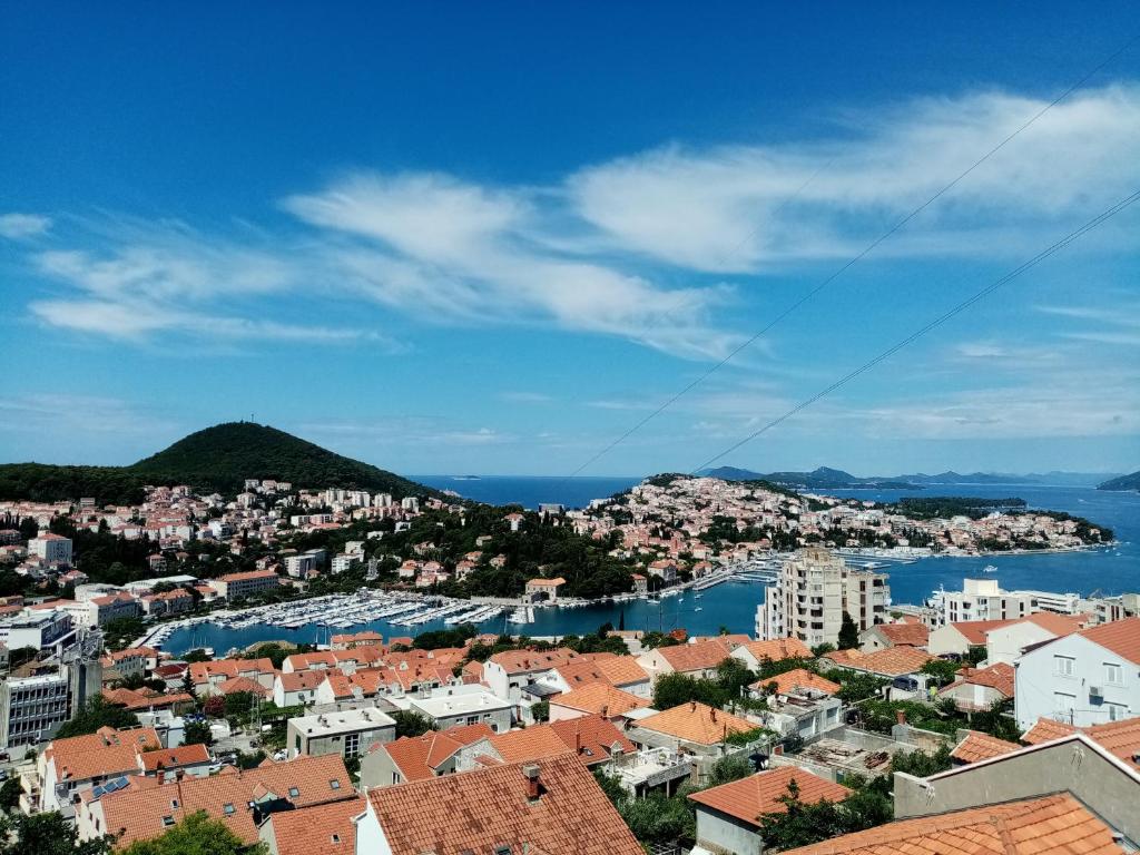 Blick auf eine Stadt mit Gebäuden und Wasser in der Unterkunft Apartment Ivan & Kate in Dubrovnik