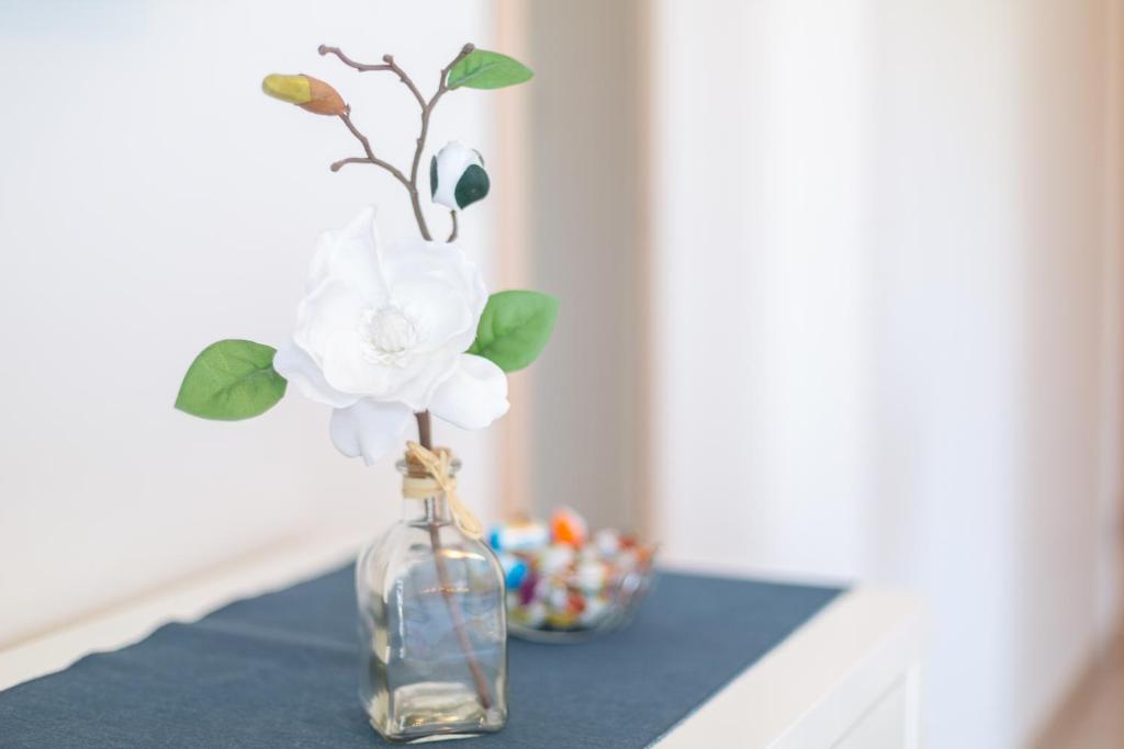 Fotografie z fotogalerie ubytování Apartments Jakic v destinaci Hvar