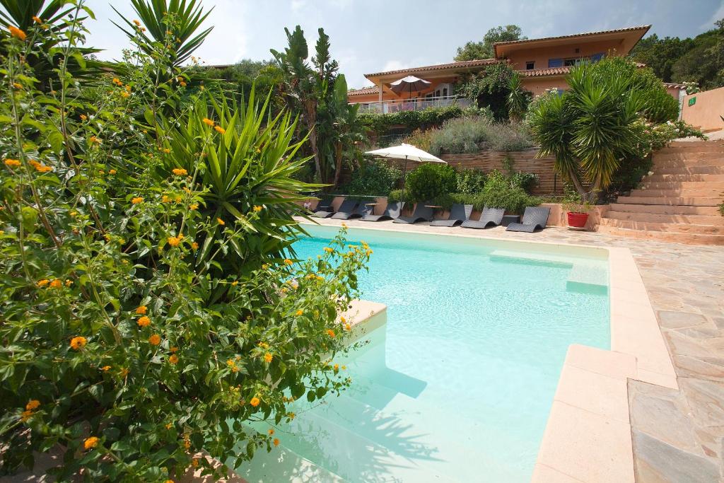 una piscina in un cortile con piante di Villa Mimosa a Favone
