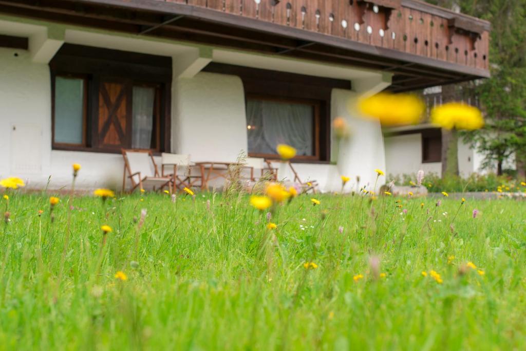 un campo de hierba con flores delante de una casa en Casa vacanze 5 Torri, en Cortina dʼAmpezzo