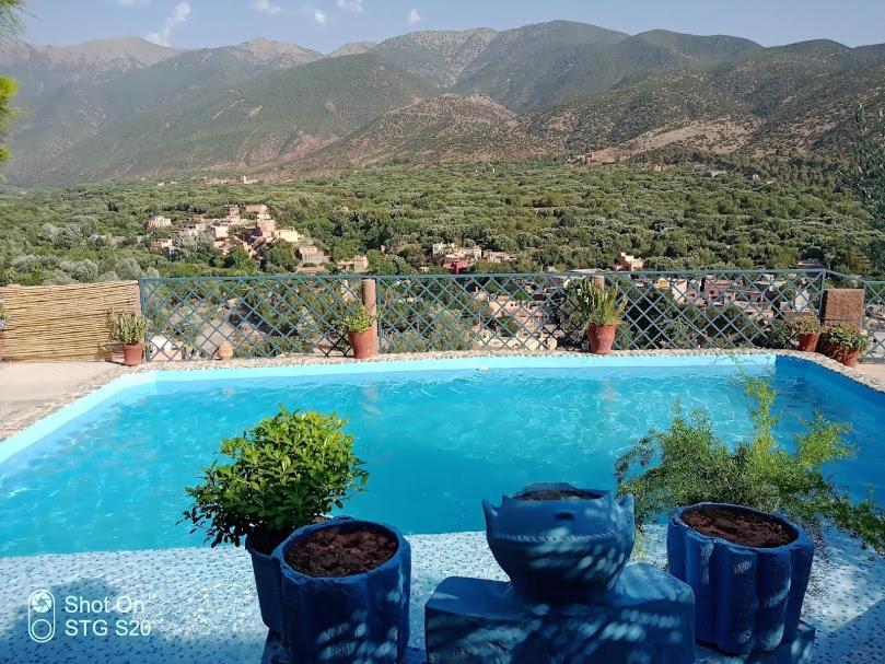 a blue swimming pool with two potted plants and mountains at Kasbah de Ouirgane in Ouirgane