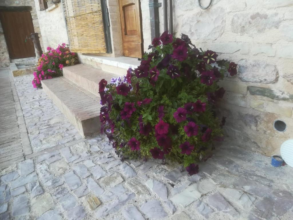 Fotografia z galérie ubytovania La casa della maestra località San Giovanni Spello v destinácii Spello