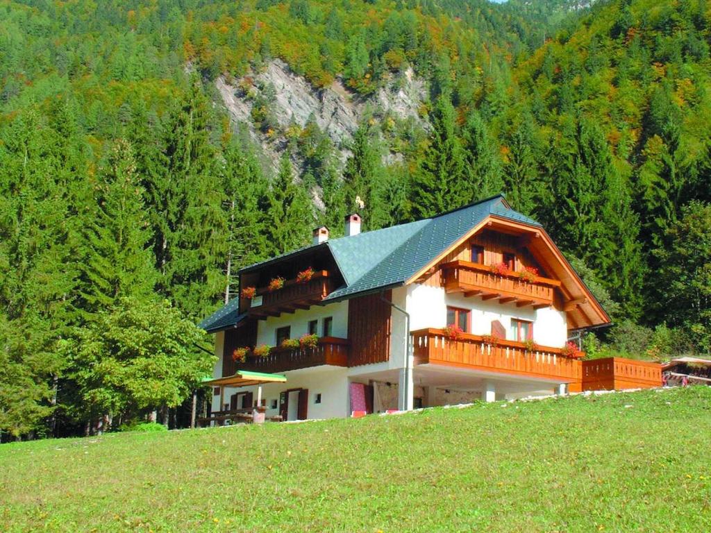 a house on top of a hill in a field at Agriturismo Prati Oitzinger in Valbruna