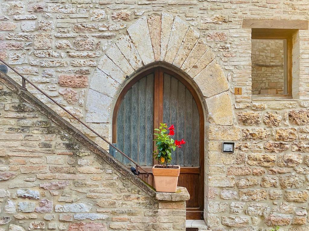una porta con una pianta in vaso di fronte a un edificio di Assisi Anfiteatro Romano ad Assisi