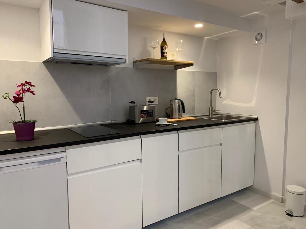 Kuchyň nebo kuchyňský kout v ubytování San Lorenzo Apartamentos y Suites