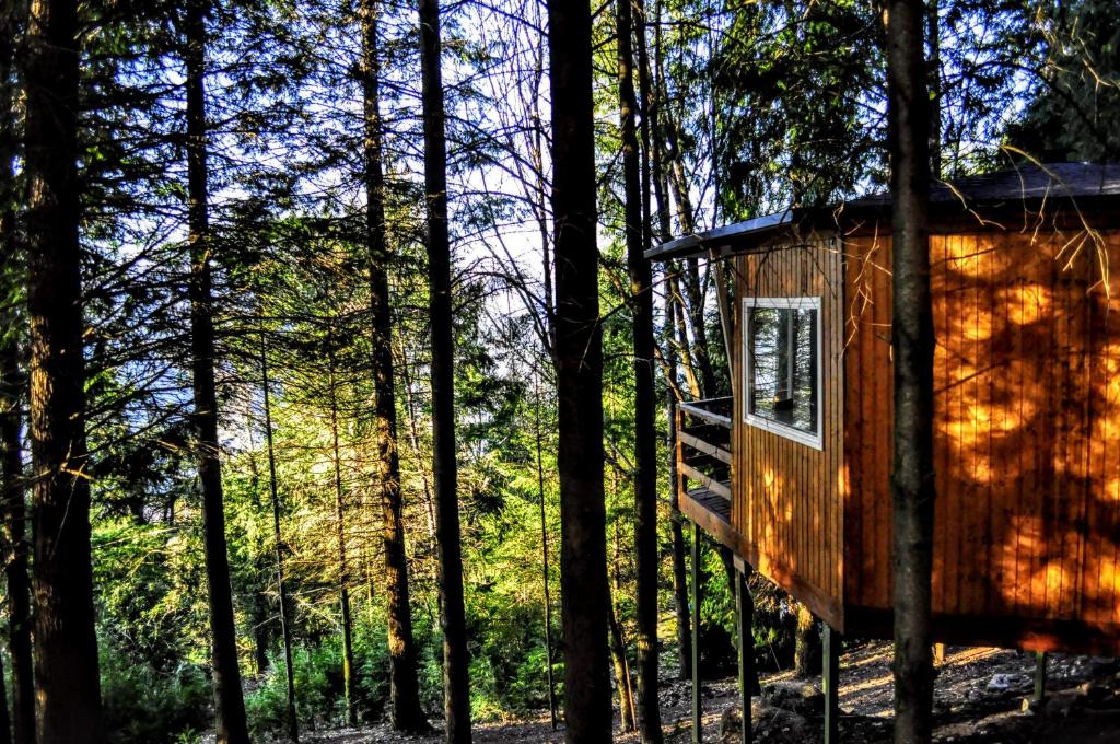 ein Baumhaus mitten im Wald in der Unterkunft Secret do Gerês in Vieira do Minho