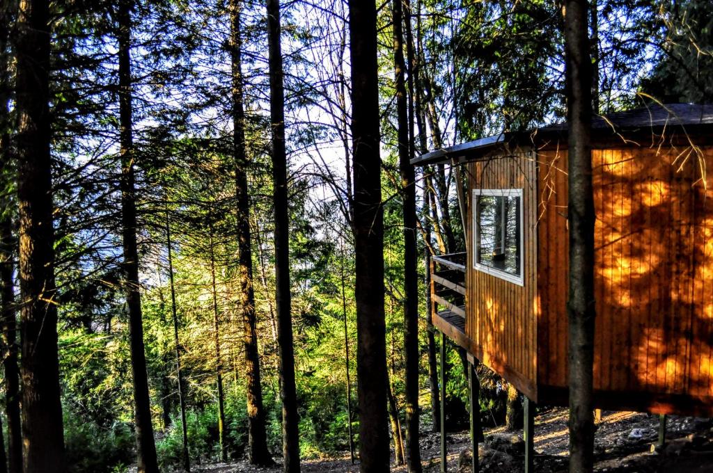 a tree house in the middle of the forest at Secret do Gerês in Vieira do Minho