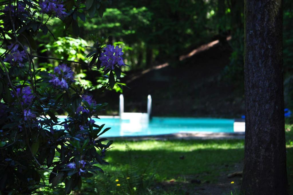 Piscina di Secret do Gerês o nelle vicinanze