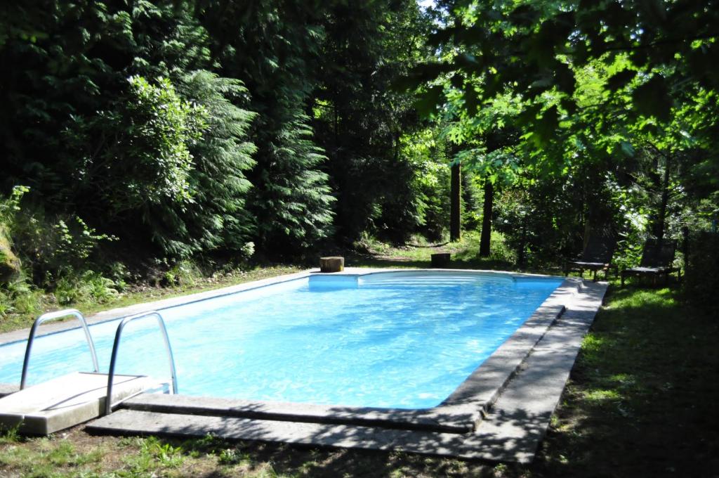 una grande piscina in un cortile alberato di Secret do Gerês a Vieira do Minho