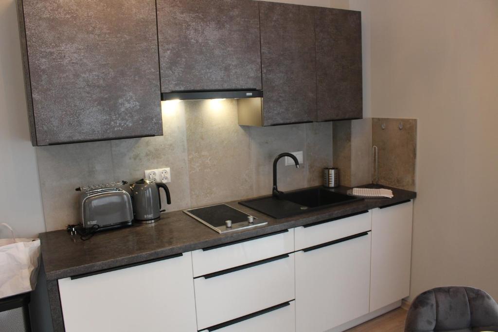 Kuchyňa alebo kuchynka v ubytovaní Apartamenty Jagiellońska 23