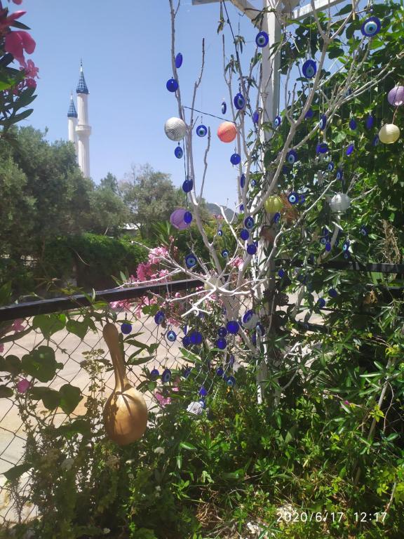 a garden filled with lots of flowers next to a tree at CC's Butik Hotel in Oludeniz