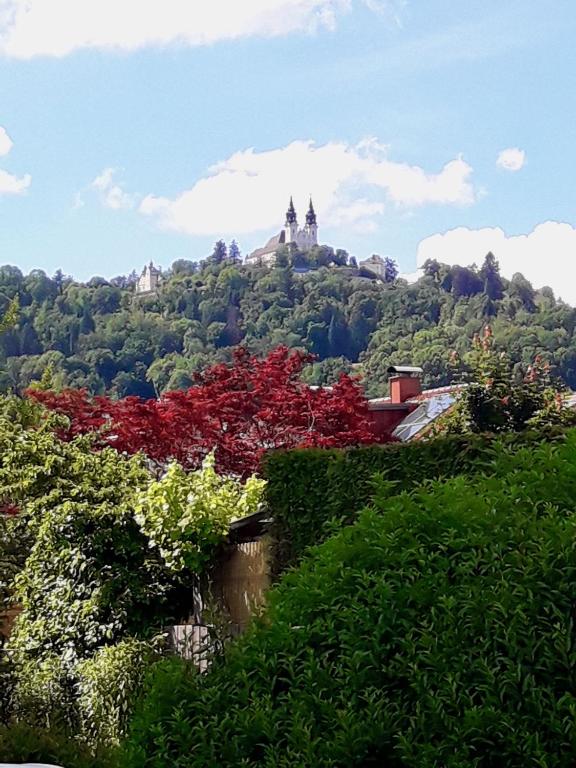 a hill with a castle on top of it at Traumapartment Pöstlingberg, reservierter Parkplatz, 4 Schlafzimmer in Linz