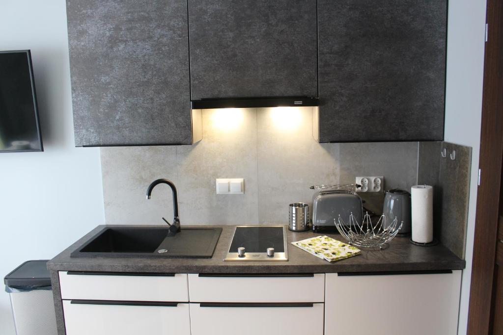 Kuchyňa alebo kuchynka v ubytovaní Apartamenty Jagiellońska 23