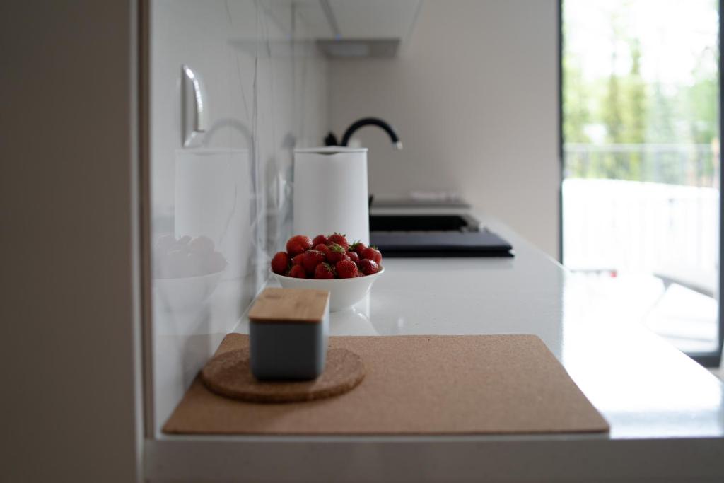 Altara Apartamenty Centrum - Free Parking - Resim 44